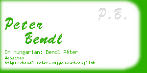 peter bendl business card