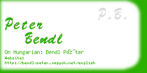 peter bendl business card